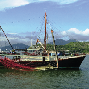 Industrial Fishing Trawler