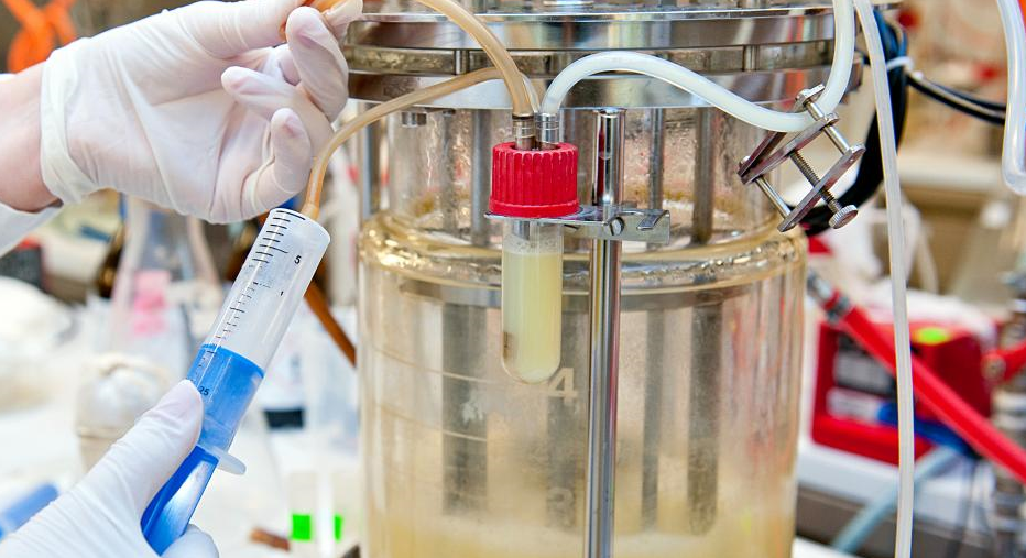 disposable bioreactor and the sensors that make them work